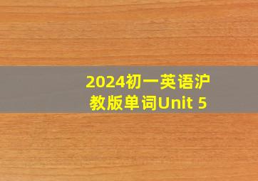 2024初一英语沪教版单词Unit 5